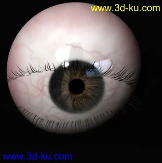 3D打印模型逼真的人物眼球的图片