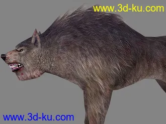 狼王模型＋tga贴图。的图片