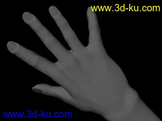 手的模型，刚学的，请大家多指点指点~~的图片