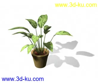 3D打印模型呜呜...重新发一遍，22种花草高模的图片