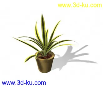 3D打印模型呜呜...重新发一遍，22种花草高模的图片