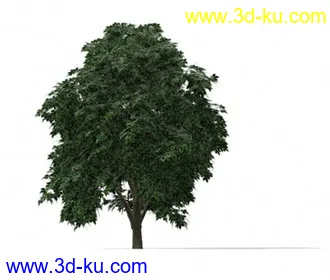 3D打印模型呜呜...重新发一遍，22种花草高模的图片