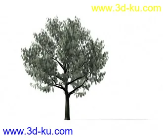 3D打印模型呜呜...重新发一遍，22种花草高模的图片