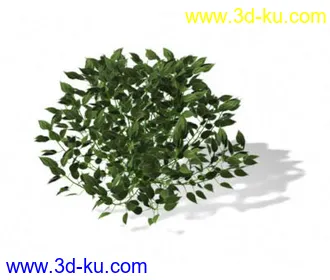 3D打印模型呜呜...重新发一遍，22种花草高模的图片