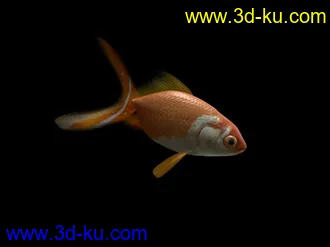 3D打印模型金鱼的图片