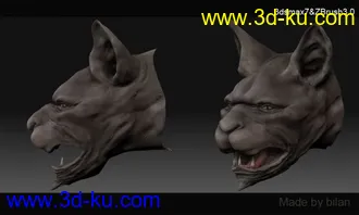 狗头模型的图片