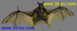 3D打印模型呵呵。。。蝙蝠——》血蝙蝠？的图片