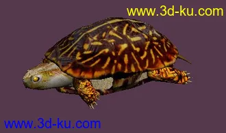 三十一个，动物类，昆虫类，模型+贴图+渲染图的图片