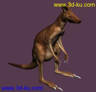 三十一个，动物类，昆虫类，模型+贴图+渲染图的图片