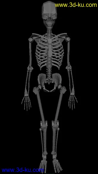 3D打印模型骷髅——骨架的图片