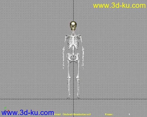 人物骨骼高精模型的图片1