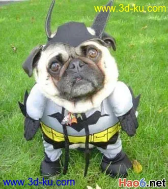 3D打印模型民航飞机，带天空渲染效果的的图片