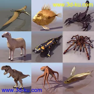 一组动物模型4的图片