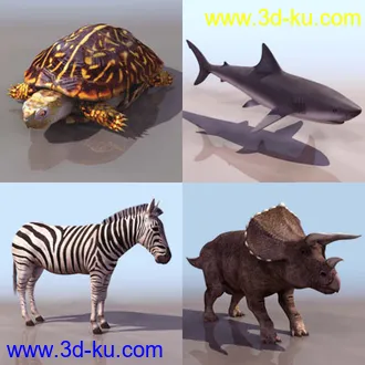 一组动物模型5的图片