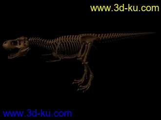 3D打印模型霸王龙骨架  已绑定骨骼的图片