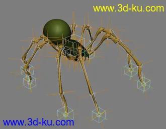 丢失文件整理 几个绑好的动物模型的图片