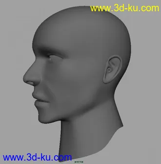 3D打印模型再来一个人头，绝无仅有的，的图片