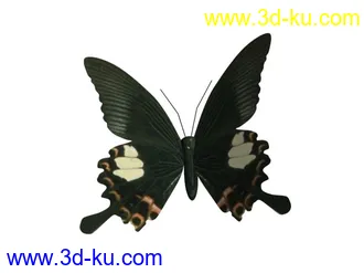 3D打印模型一组蝴蝶的图片