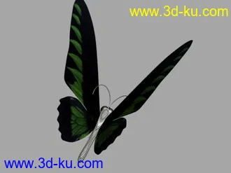 3D打印模型一组蝴蝶的图片
