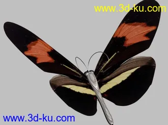 3D打印模型一组蝴蝶的图片
