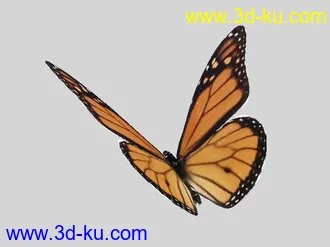 3D打印模型一组蝴蝶的图片