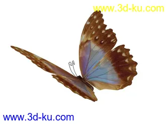 3D打印模型一组蝴蝶的图片