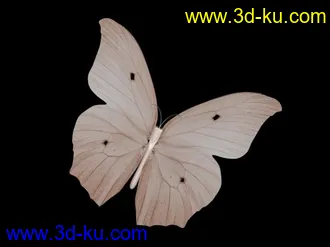 3D打印模型一组蝴蝶的图片
