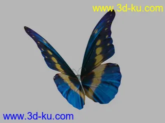 3D打印模型一组蝴蝶的图片