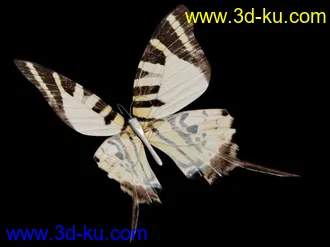 3D打印模型一组蝴蝶的图片