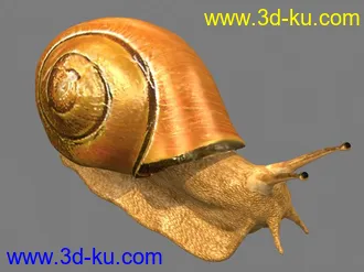 3D打印模型蜗牛的图片