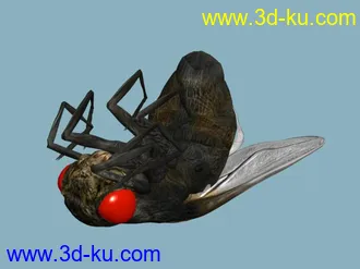 3D打印模型一只死苍蝇的图片
