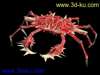 3D打印模型越南蟹的图片