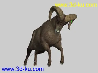 3D打印模型公羊的图片