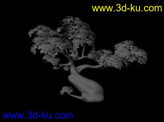 3D打印模型自己搜集的分享下（ 亭子 树 古建筑）顺便拿点积分的图片
