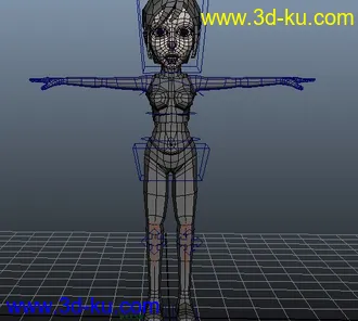 3D打印模型局部骨骼绑定  女人的图片