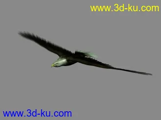 带飞行动作的老鹰模型的图片