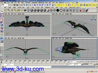 3D打印模型郁闷 刚才发错了。。。我也来只老鹰。。的图片