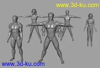 老外做的各种人类模型的图片