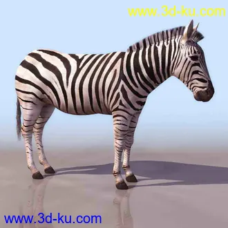 3D打印模型恐龙蝙蝠斑马等的图片