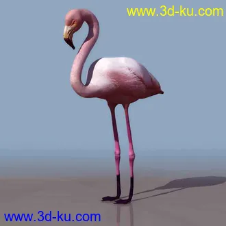 3D打印模型恐龙蝙蝠斑马等的图片