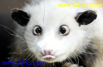 3D打印模型Old man model卡通老头的图片