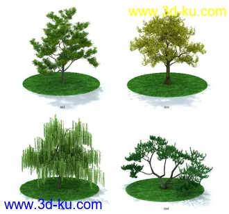 3D打印模型一套精品树模的图片