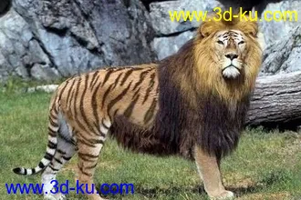 3D打印模型朱彦的图片
