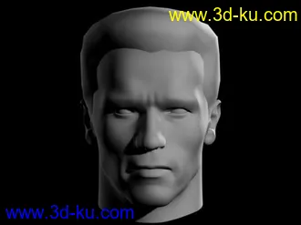 3D打印模型施瓦辛格的图片