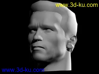 3D打印模型施瓦辛格的图片
