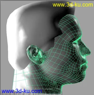 3D打印模型施瓦辛格的图片