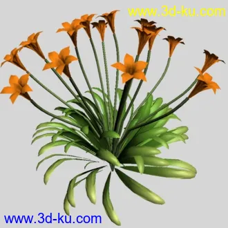 3D打印模型也算不错的花了！的图片