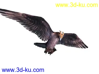 3D打印模型maya鹰的图片