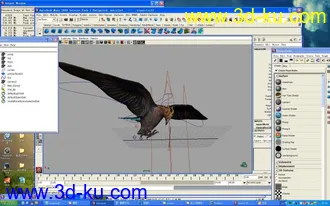 3D打印模型maya鹰的图片
