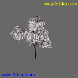 3D打印模型小桃树一棵的图片